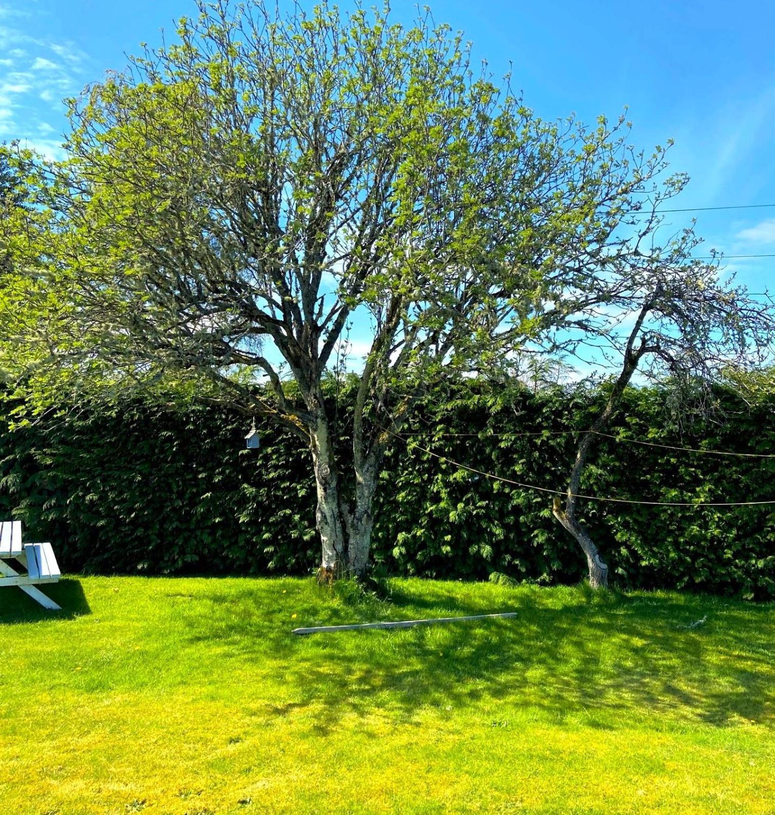 26 Green Drive Inverness Inshes Exterior foto